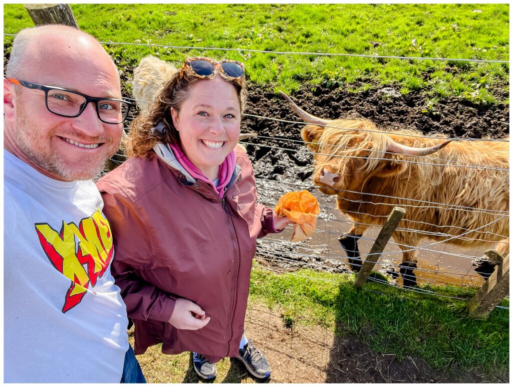 Bucket List Trip - Scotland - 18 - Highland Cows - Redburn Cafe and Giftshop