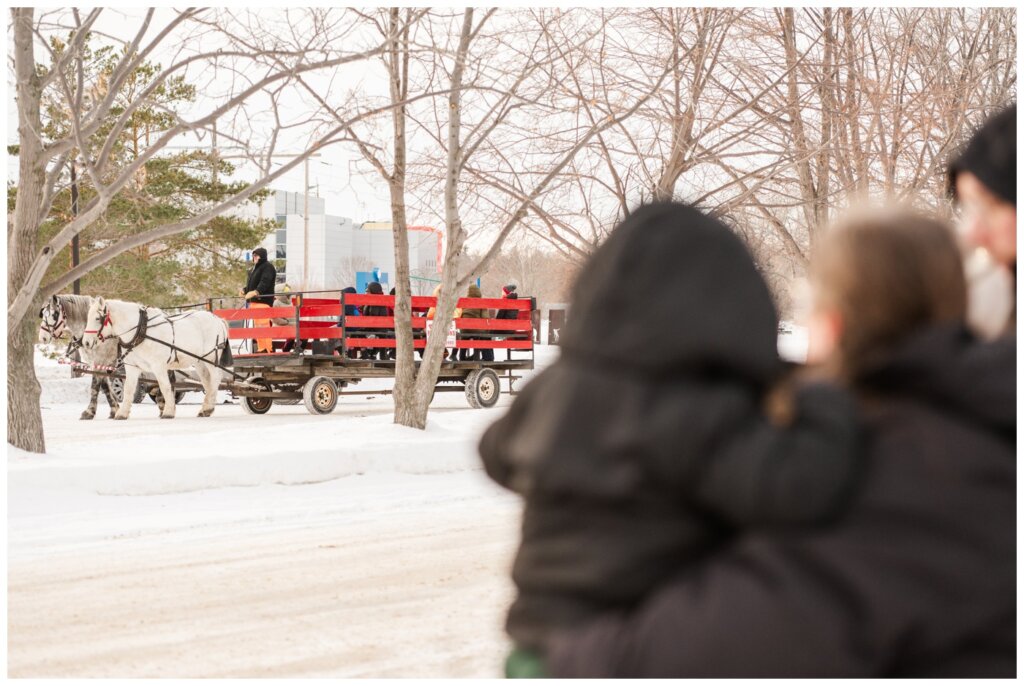 Diacon Family - Winter Family Session - Regina Family Photography - 10 - Toddler waves at horses on sleigh ride