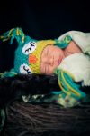 Regina Family Photographer - Jace Newborn - Favel Family - Owl Nest