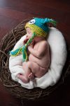 Regina Family Photographer - Jace Newborn - Favel Family - Owl Nest Above