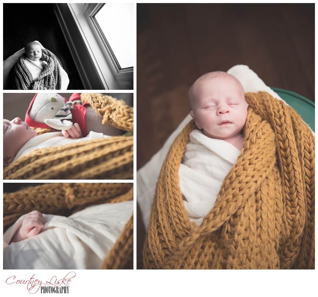 Shepherd Newborn - Regina Family Photographer - Courtney Liske Photography