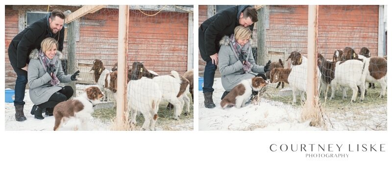 Trevor & Nicole Engagement - Courtney Liske Photography - Regina Wedding Photographer - Winter Farm Engagement