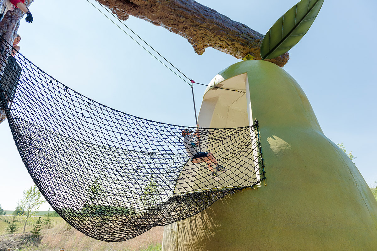 Zip-lining from the Orchard Treehouse into the pear at Granary Road