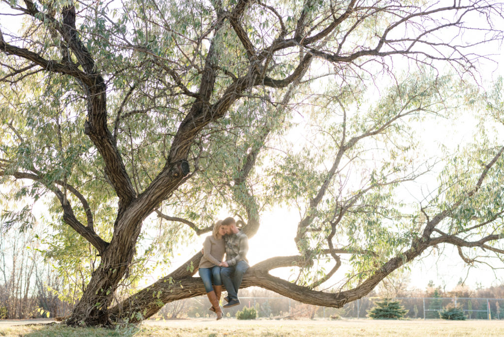 Regina Engagement Photographer - Andy-Laura - Sitting on a Willow Tree