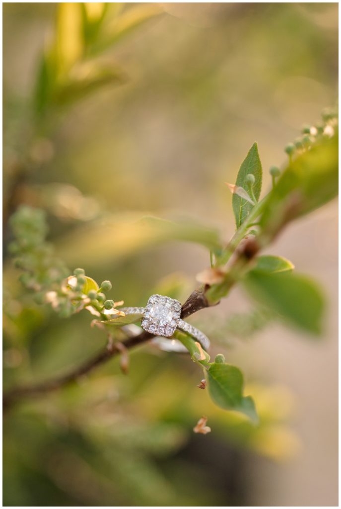 Regina Engagement Photographer - Multi Diamond ring