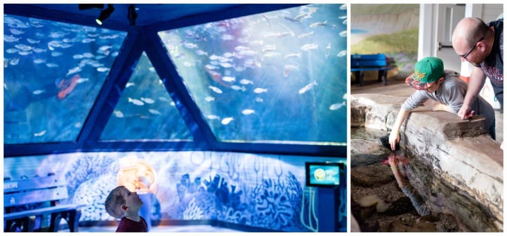 Regina Wedding Photography - Legoland California - Liske Family Travels - Legoland - Sea Life Aquarium