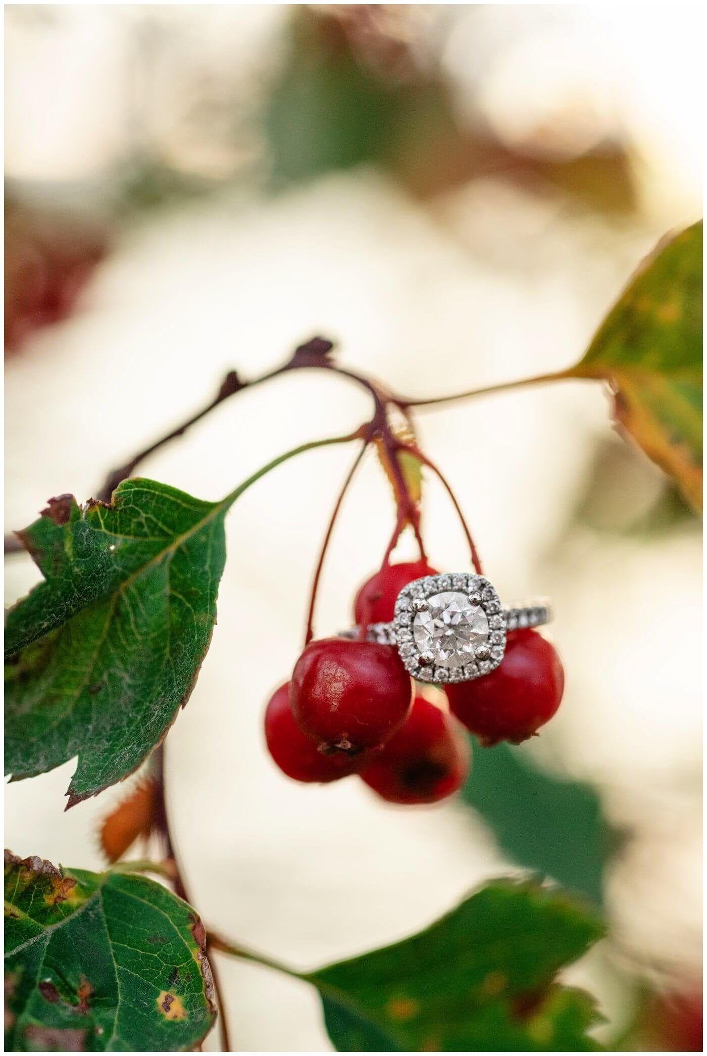 Regina-Engagement-Photography-009-Tim-Jennelle-Engagement-ring-on-berry-branch