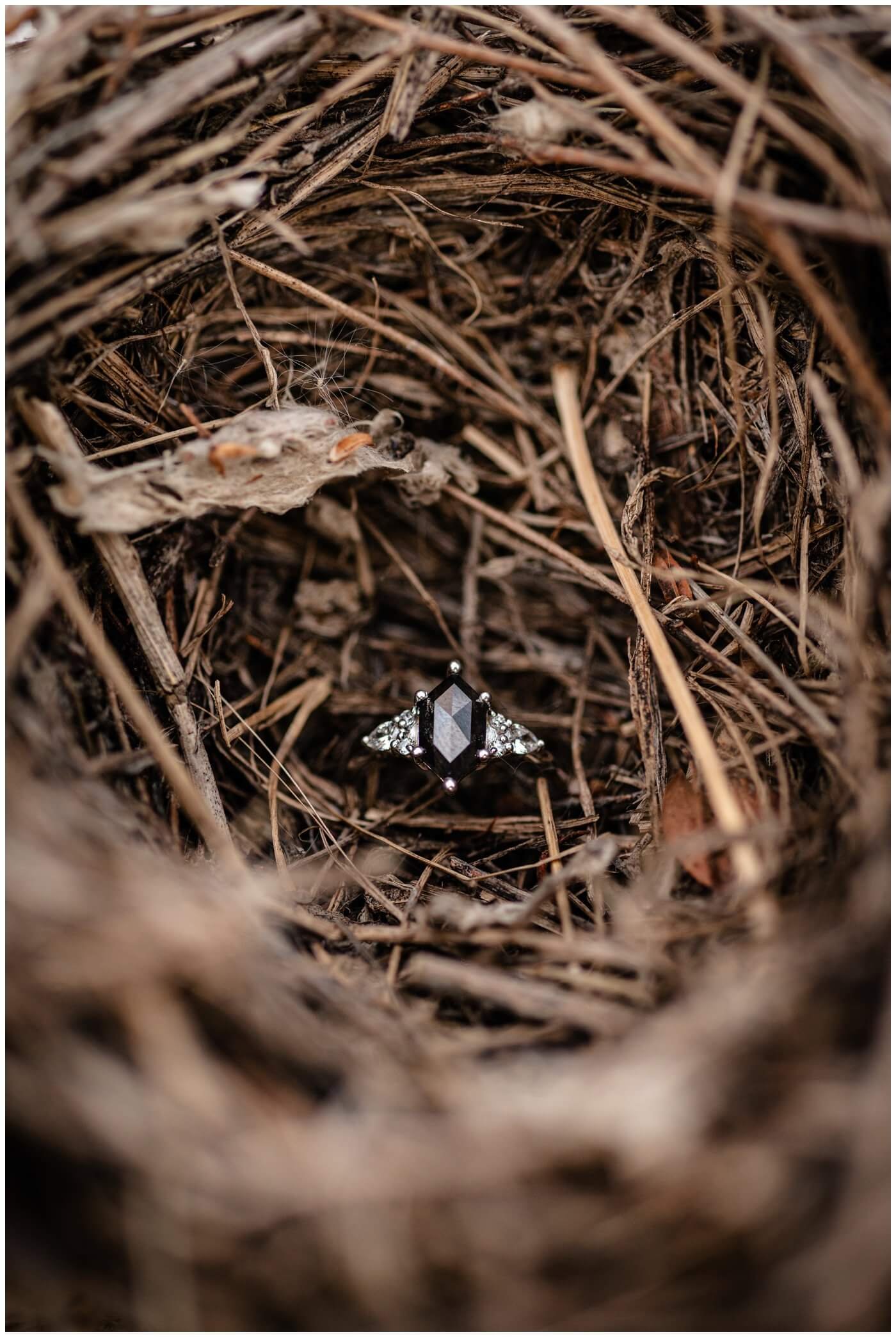 Regina Engagement Photography - Stephen & Sarah - 005 - Birds Nest Engagement Ring