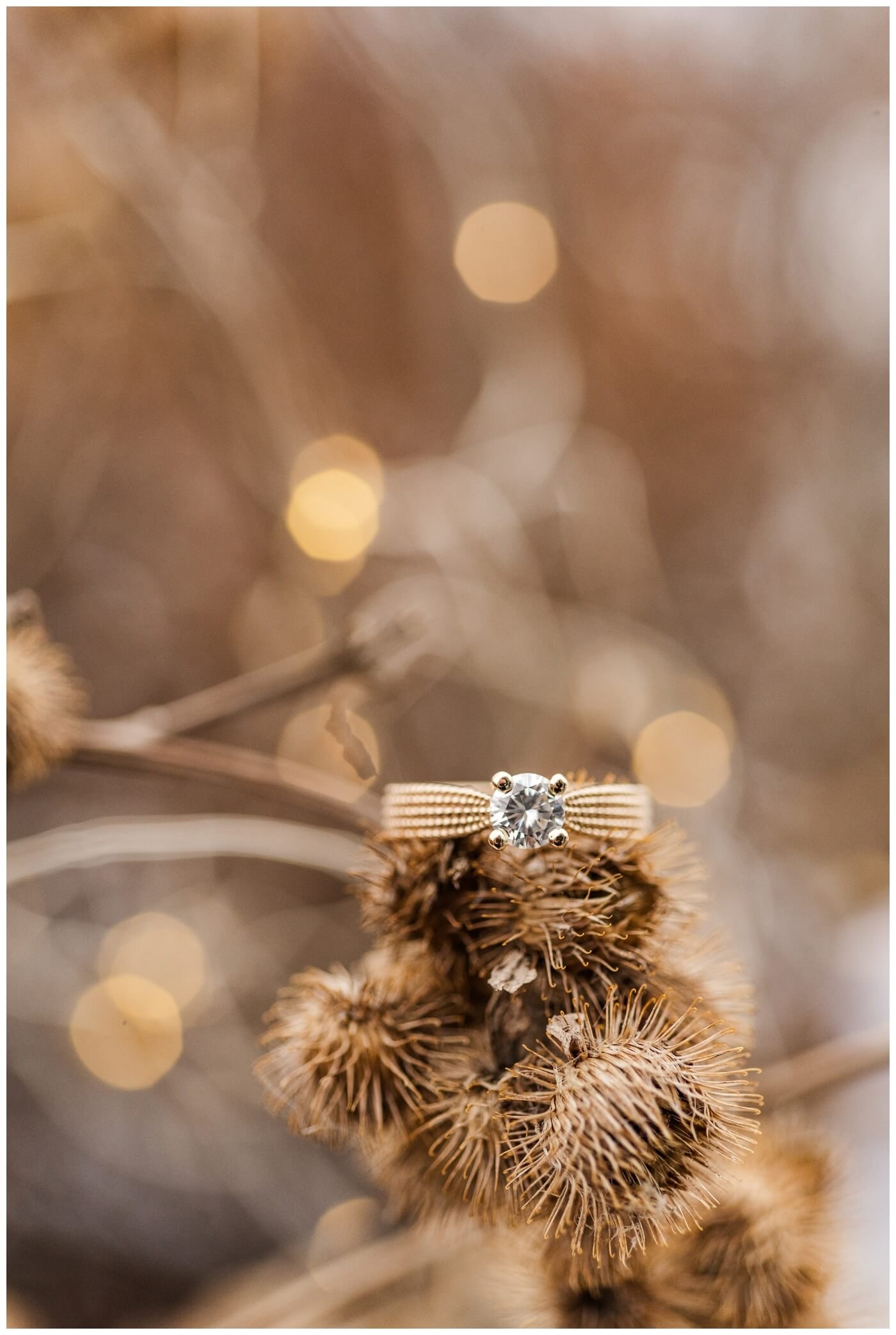 Close up of custom ring from Fire & Ice in Regina