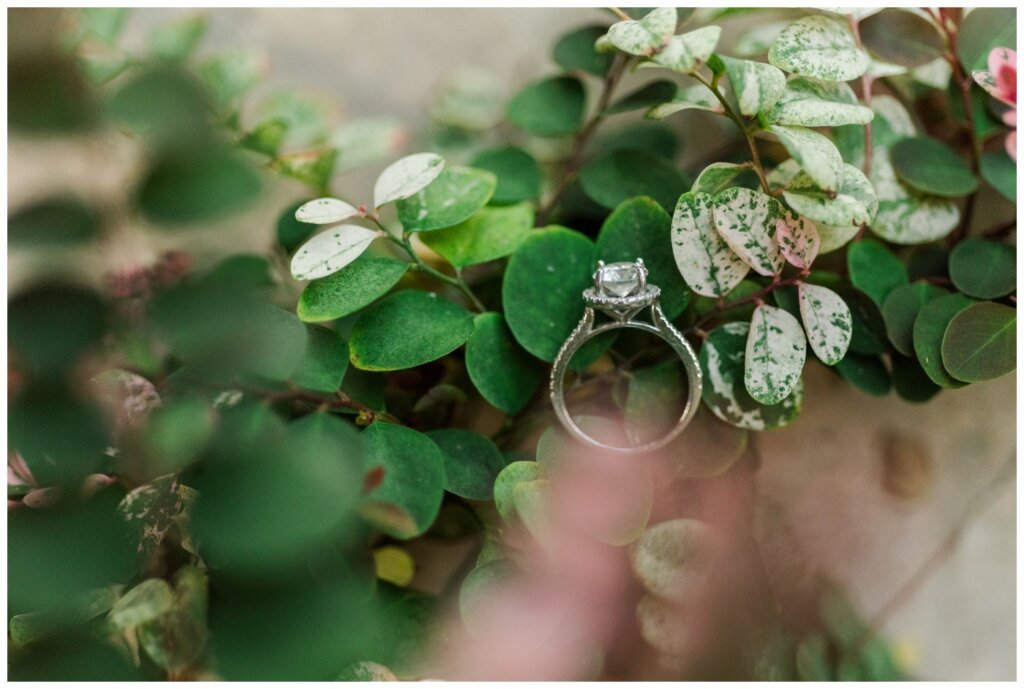 Royalty Goldsmiths engagement ring on branch