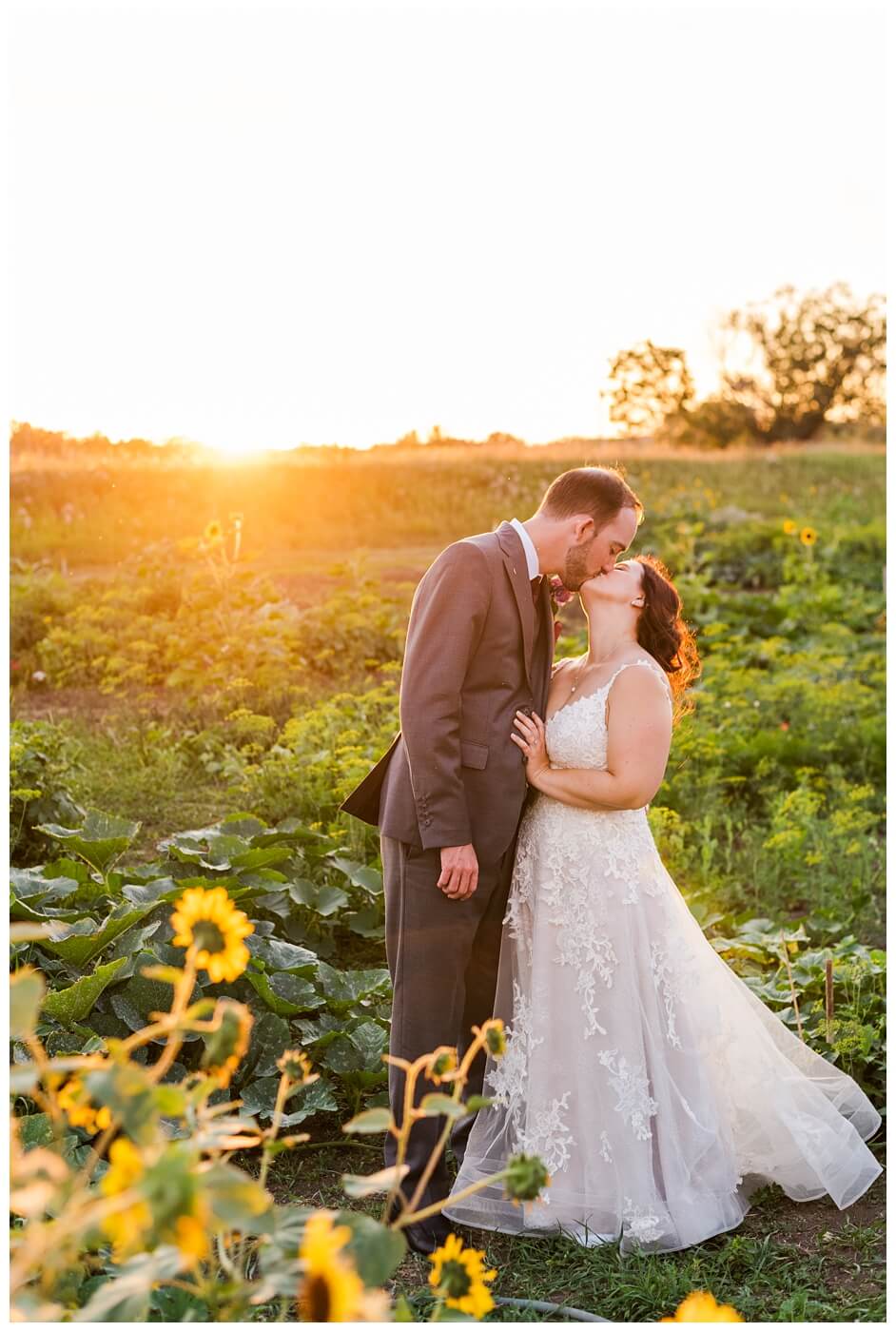 Andrew & Alisha - Regina Wedding Photography - 40 - Bride & Groom kiss amongst sunflowers at sunset