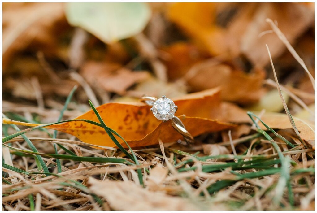 Jared & Haley - Engagement Session - 06 - Engagement Ring on leaf