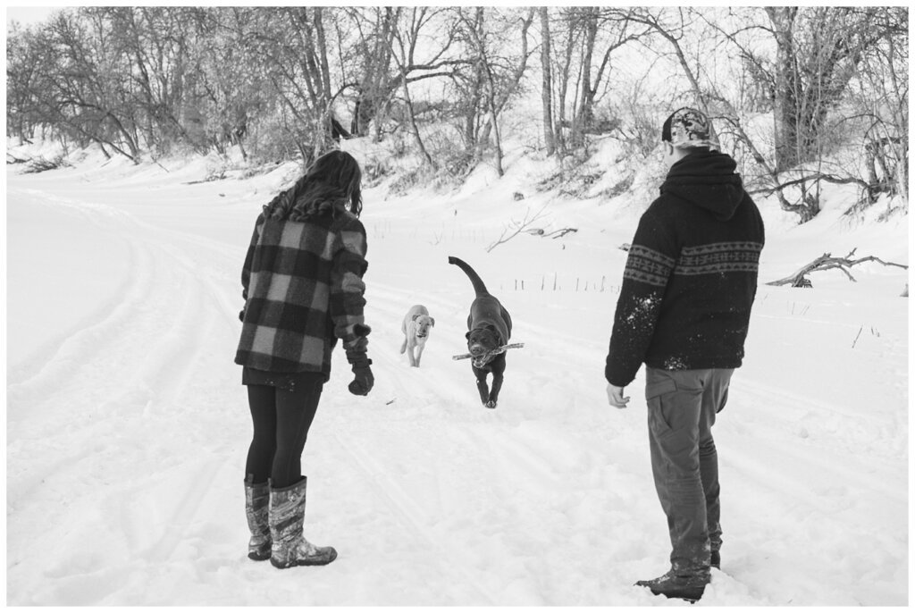 Brett & Brittany - Winter 2023 - Lumsden Valley - 04 - Playing fetch with the dogs in the snow