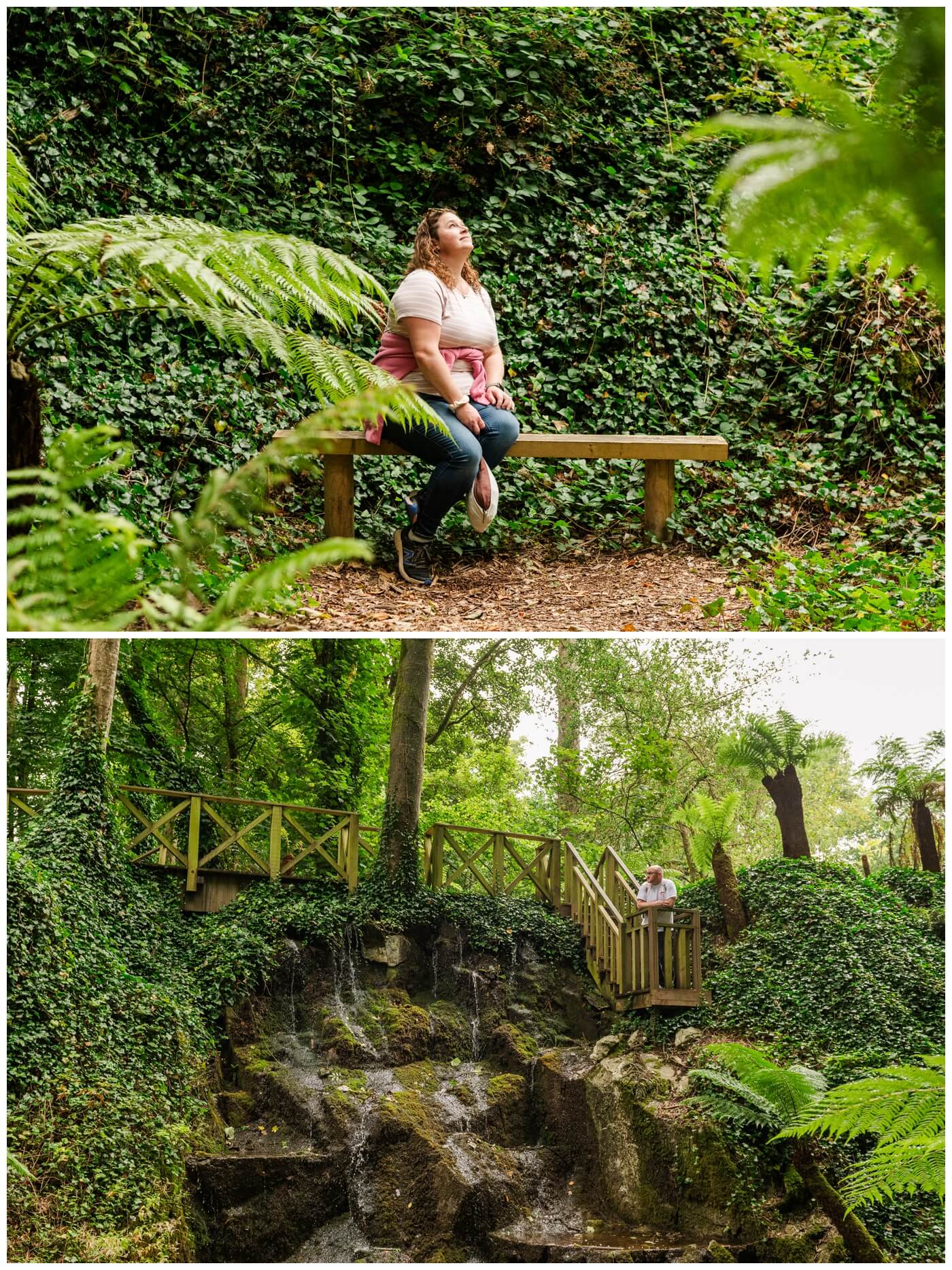 Bucket List Trip - Republic of Ireland - 15 - Blarney Castle Gardens