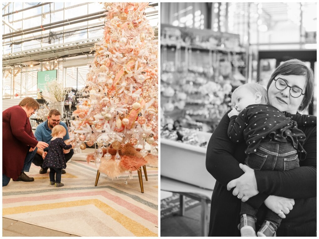 Weir Family - Dutch Growers Regina - 007 - Toddler explores pink Christmas tree